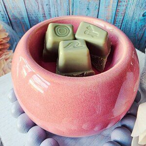 Petal Pink Scentsy Element Warmer